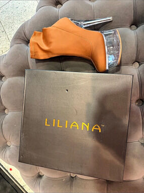 LILIANA brown & Clear Platform Heels